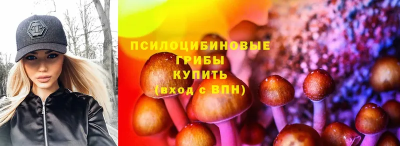 Псилоцибиновые грибы MAGIC MUSHROOMS  Костерёво 